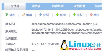 解決Dubbo無法訪問遠程ZooKeeper已注冊服務的常見問題與互聯(lián)網(wǎng)域名注冊服務的關(guān)系探討